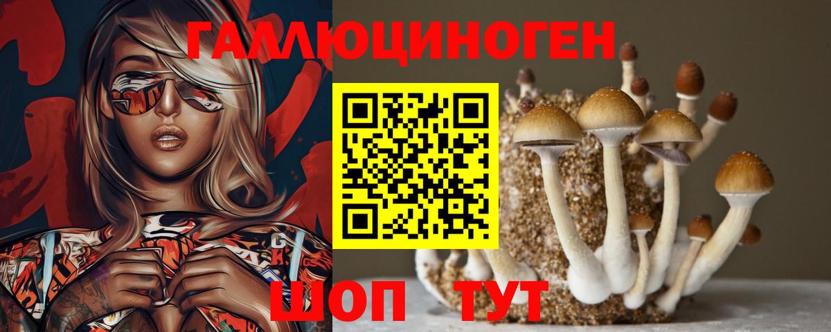 цена наркотик  Псилоцибиновые грибы GOLDEN TEACHER  Галлюциногенные грибы прущие грибы  Вход с VPN  Богданович 